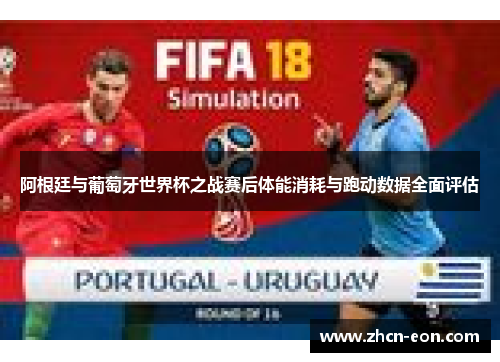 阿根廷与葡萄牙世界杯之战赛后体能消耗与跑动数据全面评估
