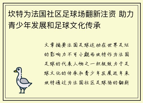 坎特为法国社区足球场翻新注资 助力青少年发展和足球文化传承