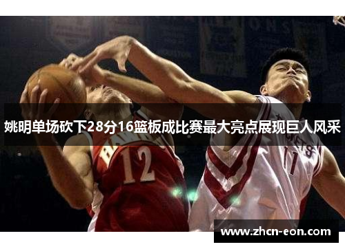 姚明单场砍下28分16篮板成比赛最大亮点展现巨人风采