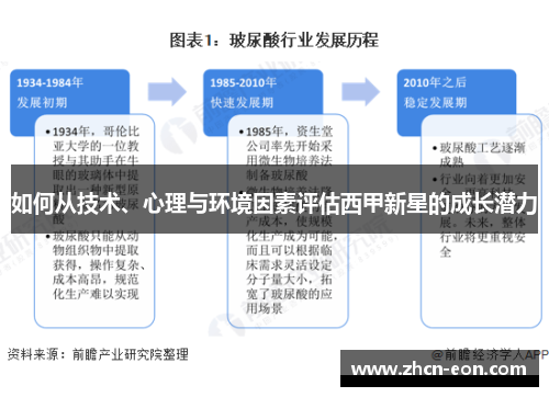 如何从技术、心理与环境因素评估西甲新星的成长潜力